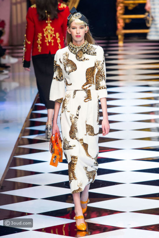 Dolce and Gabbana Cat Trend from Milan Fashion week - Fall 2016 ready to wear collection