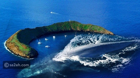 أخطر 5 جزر في العالم